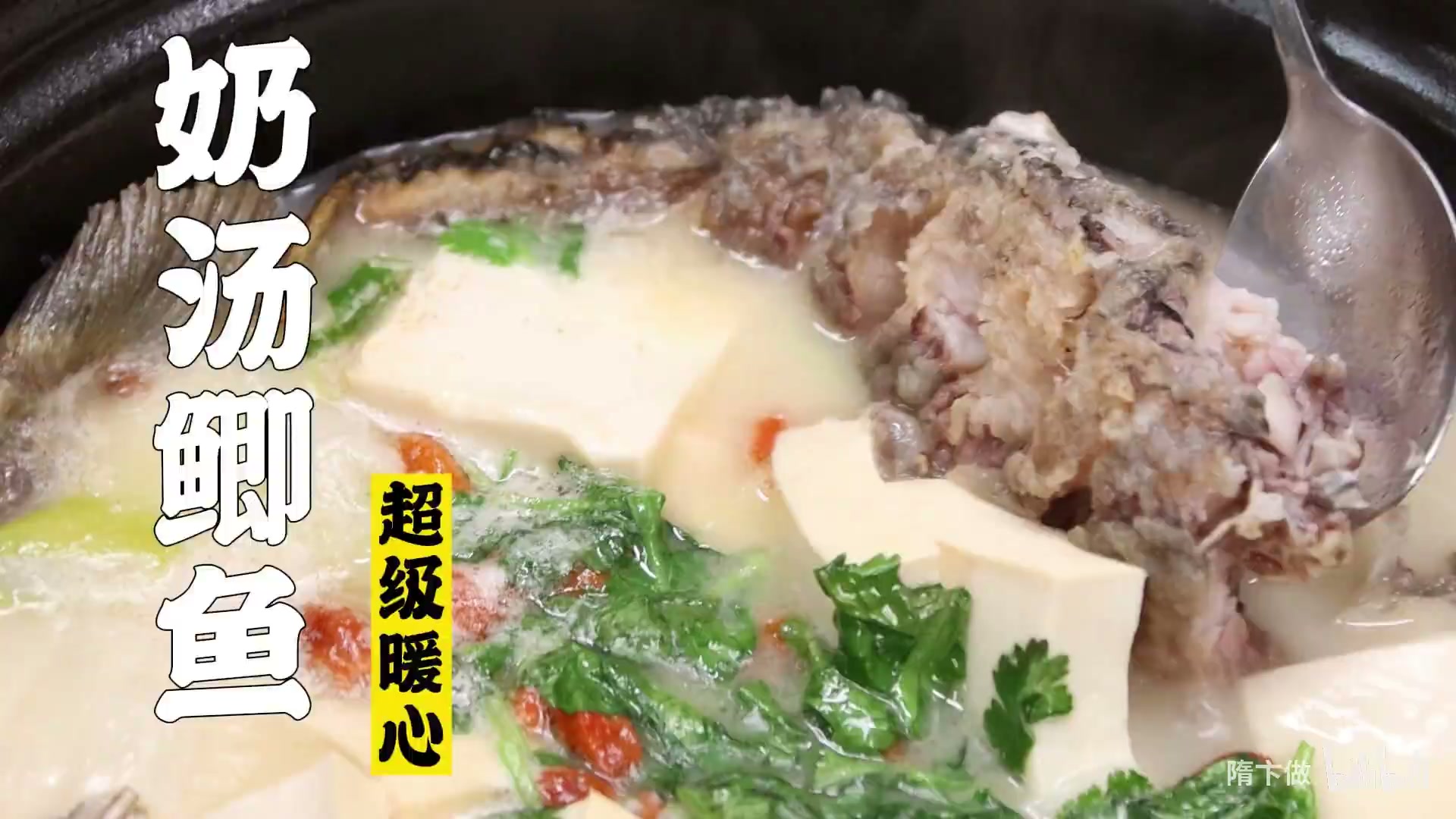 奶白鲫鱼汤